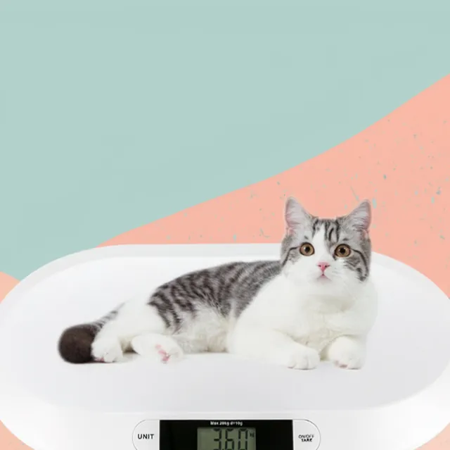 10g Digital Platform Scale for Infant Weighing, Pet Weighing — photo 2