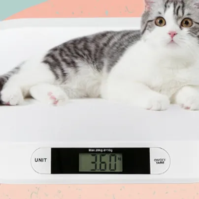 10g Digital Platform Scale for Infant Weighing, Pet Weighing — photo 3