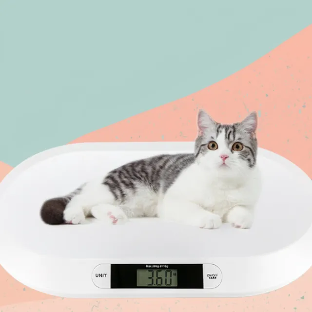 10g Digital Platform Scale for Infant Weighing, Pet Weighing — photo 4
